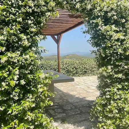 House Vlorë